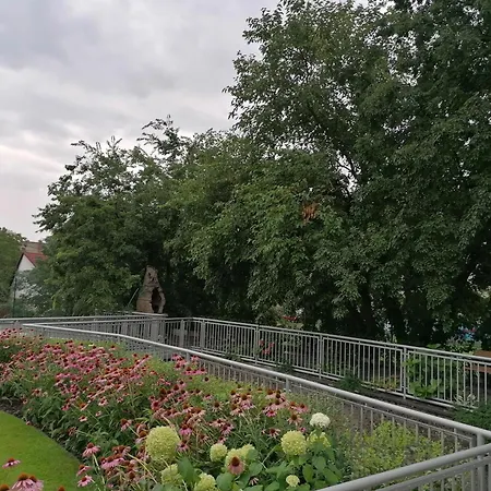 Toni 3* Budapest